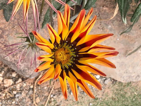 Aussie Opal Diggers Outback Retreat-Undergound - Holiday Adelaide 26