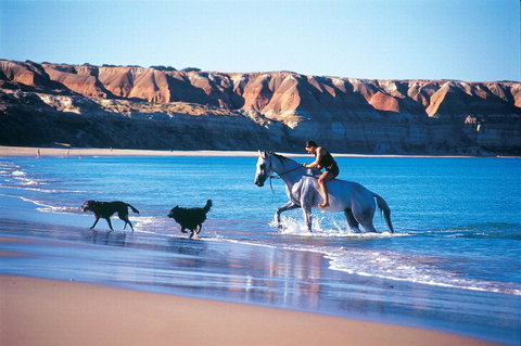 Lavina Luxury Beach House - Holiday Adelaide 25