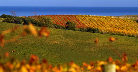 Lavina Luxury Beach House - Holiday Adelaide 14