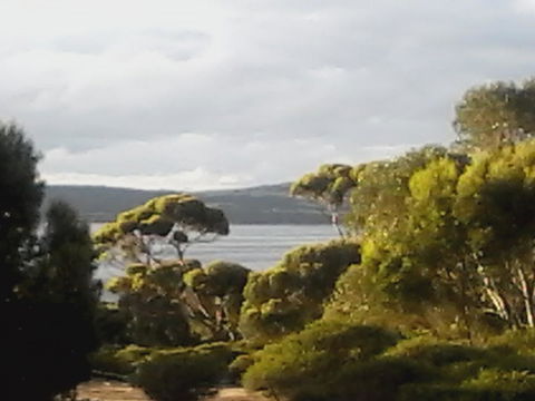 Mallee Bark Retreat - Holiday Adelaide 11