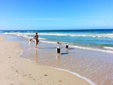Atlantic West Beach Apartments - Holiday Adelaide 22