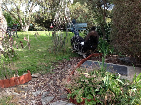 Casuarina Coastal Units - Holiday Adelaide 29