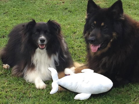 Casuarina Coastal Units - Holiday Adelaide 30