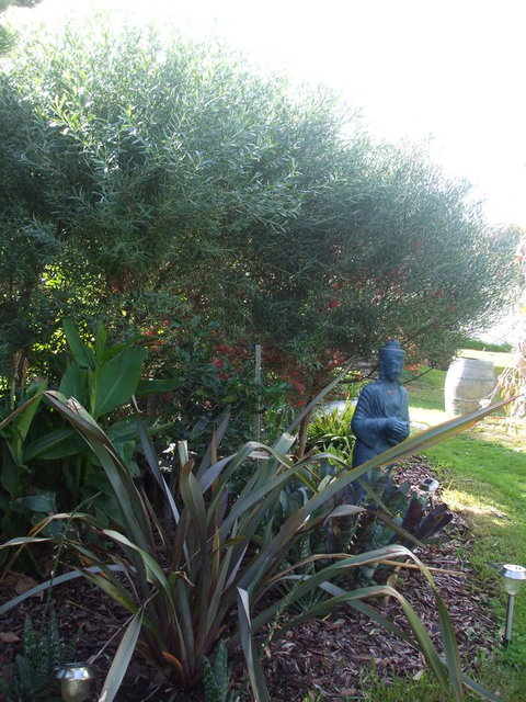 Casuarina Coastal Units - Holiday Adelaide 16