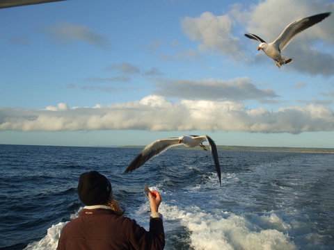 Casuarina Coastal Units - Holiday Adelaide 25