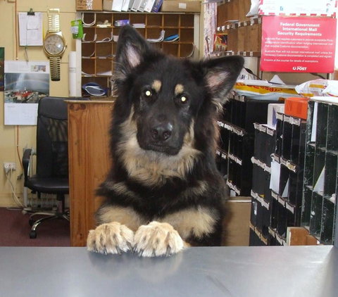 Casuarina Coastal Units - Holiday Adelaide 15