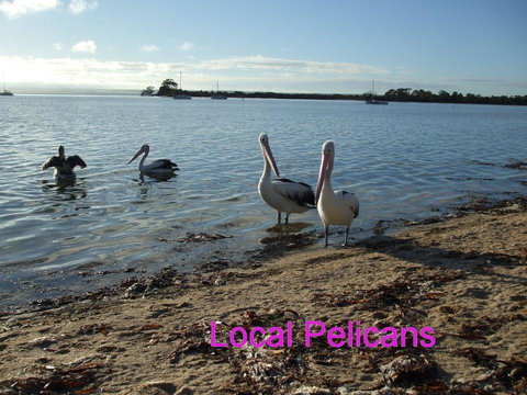 Casuarina Coastal Units - Holiday Adelaide 23