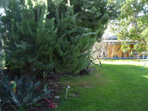 Casuarina Coastal Units - Holiday Adelaide 21