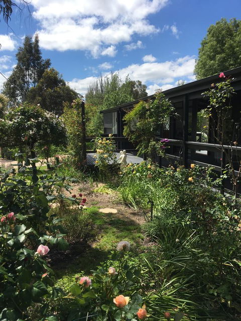 Hilltop Too - Holiday Adelaide 4