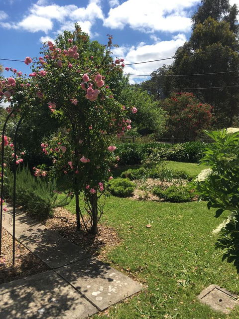 Hilltop Too - Holiday Adelaide 13