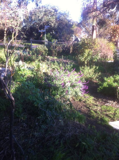 Hilltop Too - Holiday Adelaide 12