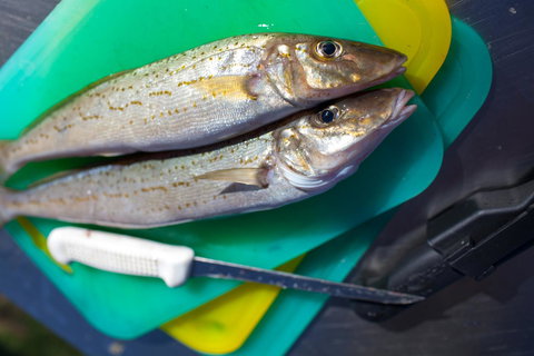 Modra\'s Apartments - Holiday Adelaide 17