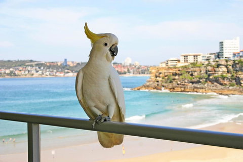 Beachfront Bliss - Holiday Adelaide 23