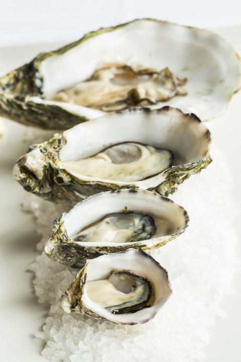 Port Lincoln Hotel - Holiday Adelaide 29