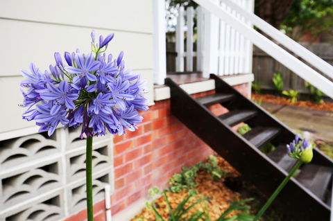 Hudson Bay @ Basin View-Pet Friendly-15 Mins To Hyams Beach - Holiday Adelaide 38