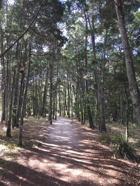 Brunswick Heads Treetop Studio - Holiday Adelaide 8