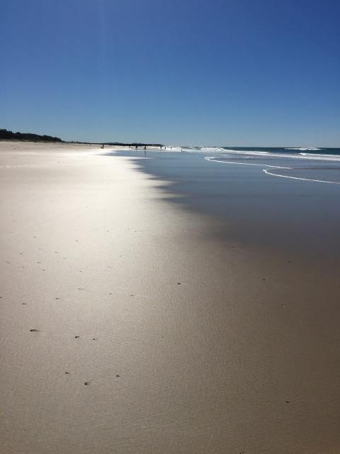 Brunswick Heads Treetop Studio - Holiday Adelaide 23