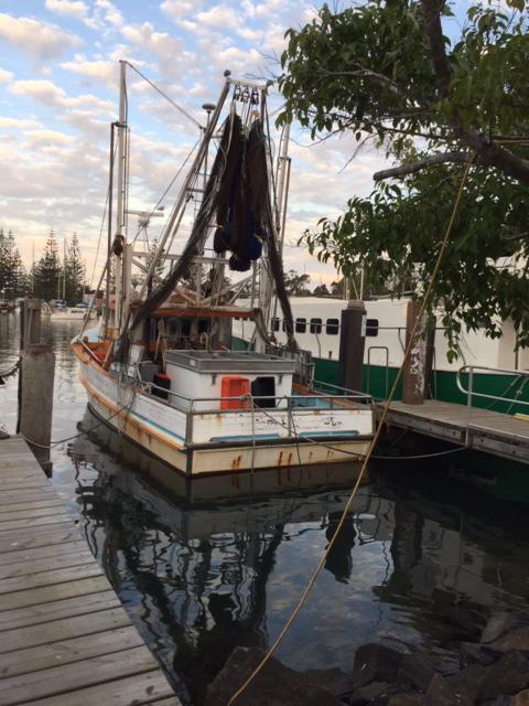 Brunswick Heads Treetop Studio - Holiday Adelaide 25