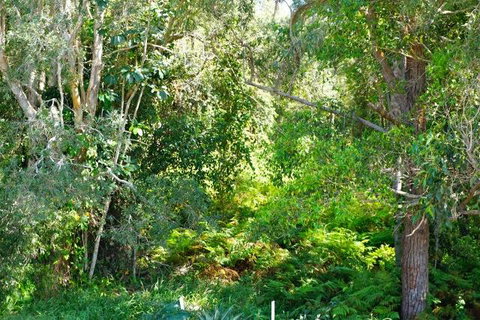 Brunswick Heads Treetop Studio - Holiday Adelaide 20