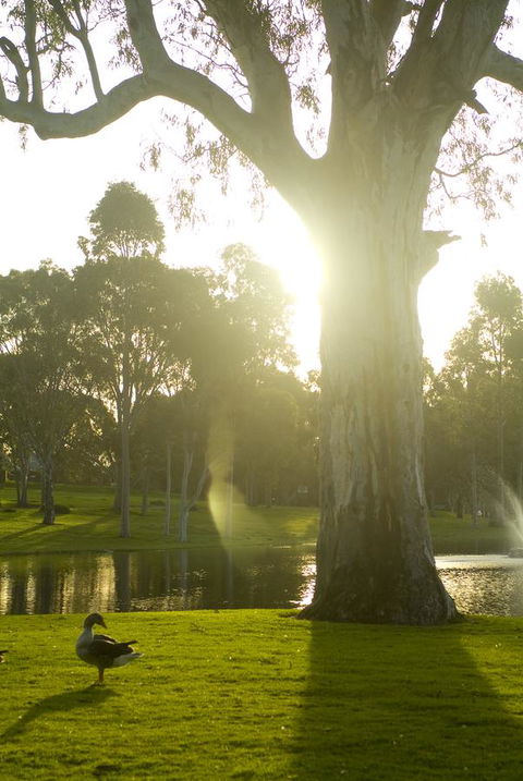 Serafino McLaren Vale - Holiday Adelaide 15