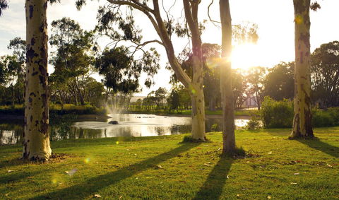Serafino McLaren Vale - Holiday Adelaide 14