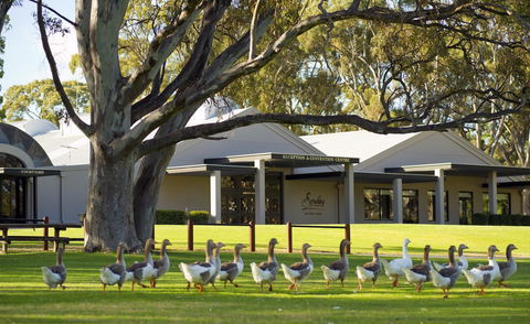 Serafino McLaren Vale - Holiday Adelaide 0