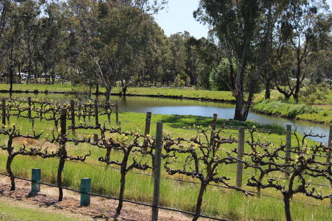 OXENBERRY FARM - Holiday Adelaide 19