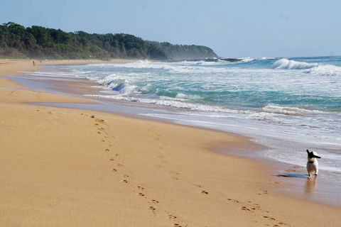 Culburra Beachhouse - Holiday Adelaide 7