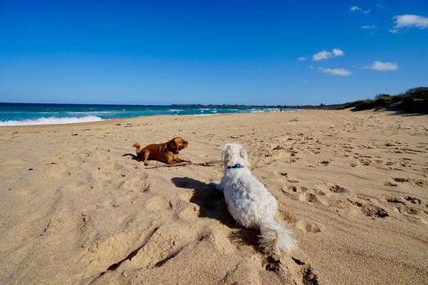 Culburra Beachhouse - Holiday Adelaide 8