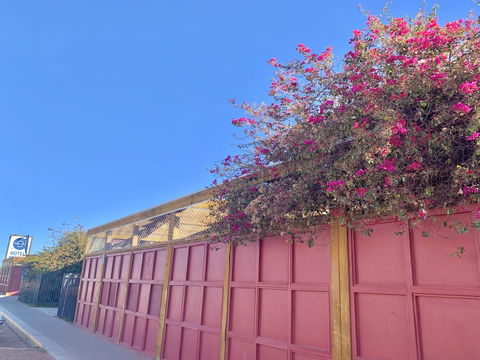 Opal Inn Hotel, Motel, Caravan Park - Holiday Adelaide 39