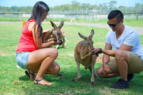 One Mile Retreat - Holiday Adelaide 25