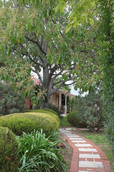 Langmeil Cottages - Holiday Adelaide 2