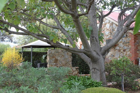Langmeil Cottages - Holiday Adelaide 3