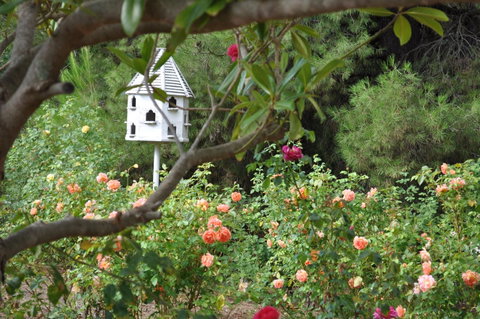 The Lyndoch Motel - Holiday Adelaide 2