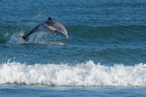 SummerHills Retreat Byron Bay - Holiday Adelaide 25