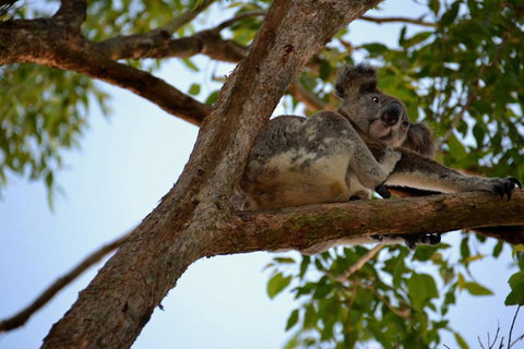 SummerHills Retreat Byron Bay - Holiday Adelaide 36