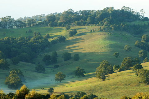 SummerHills Retreat Byron Bay - Holiday Adelaide 20
