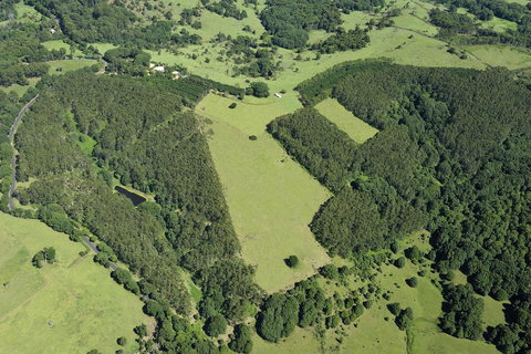 SummerHills Retreat Byron Bay - Holiday Adelaide 19