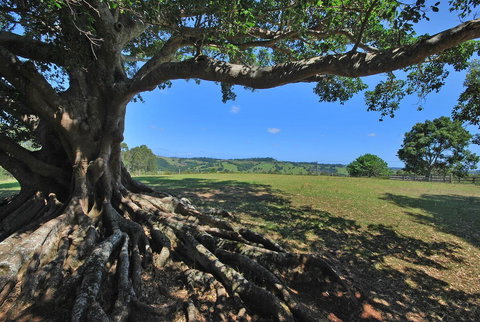 SummerHills Retreat Byron Bay - Holiday Adelaide 8