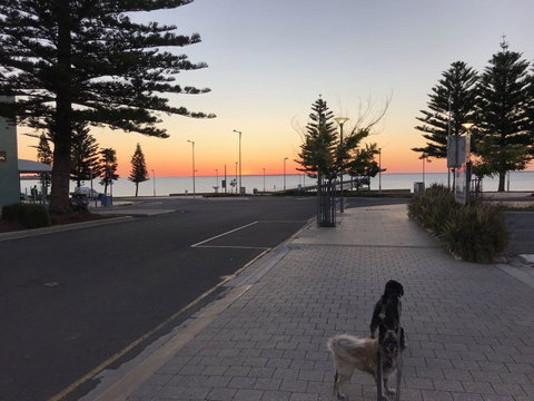 BIG4 Ceduna Tourist Park - Holiday Adelaide 34