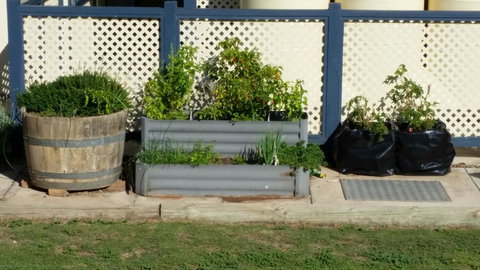 BIG4 Ceduna Tourist Park - Holiday Adelaide 30