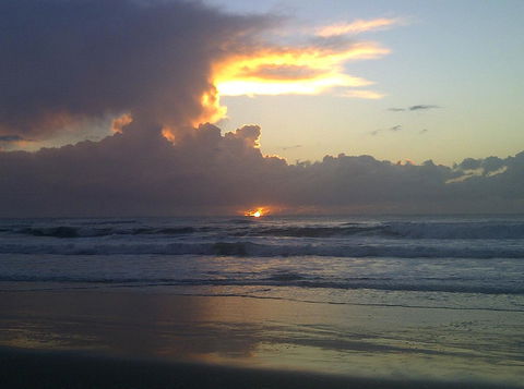 Byron Bay Guest - Holiday Adelaide 1