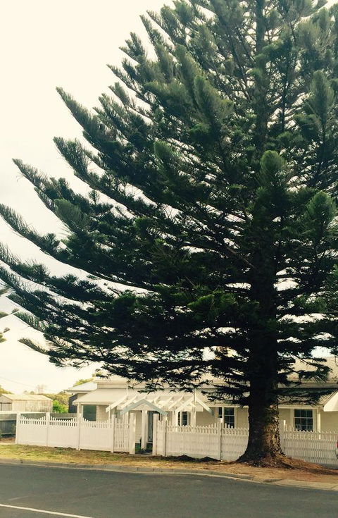 Railway Cottage In Beachport - Holiday Adelaide 13