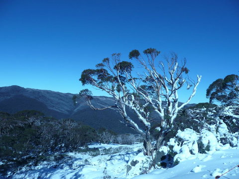 CHILL-OUT - Thredbo - Holiday Adelaide 33