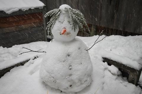 CHILL-OUT - Thredbo - Holiday Adelaide 34