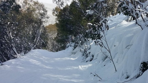 CHILL-OUT - Thredbo - Holiday Adelaide 17