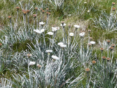 CHILL-OUT - Thredbo - Holiday Adelaide 36