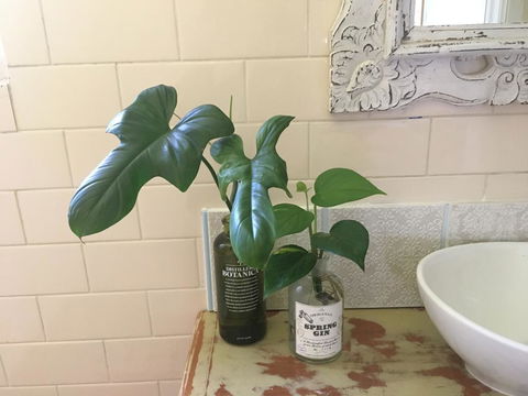 Yallaroo Cottage - Holiday Adelaide 13