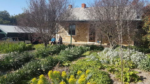 D2 At Watervale - Holiday Adelaide 1