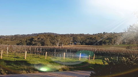 D2 At Watervale - Holiday Adelaide 23